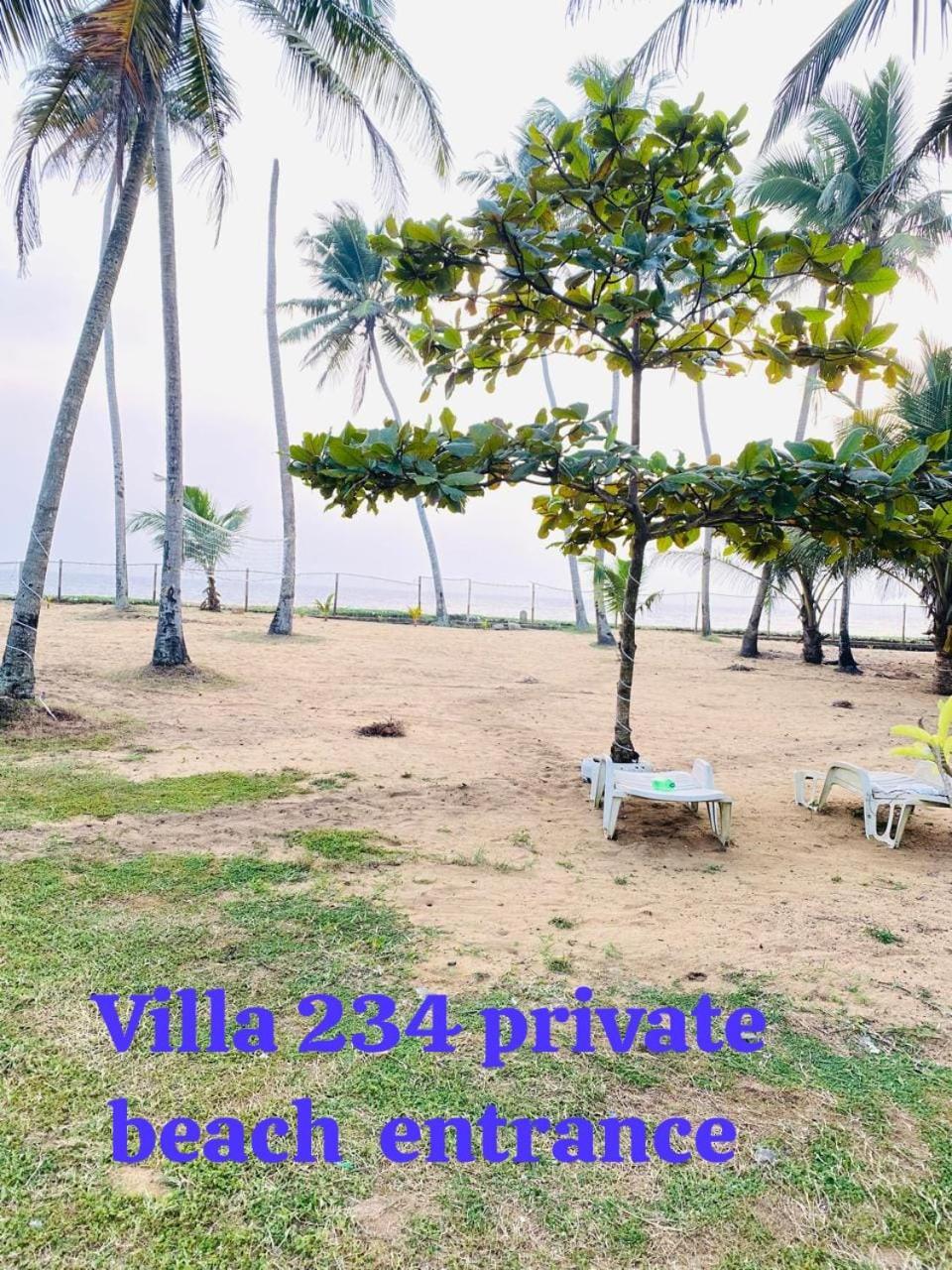 كالي Villa 234 المظهر الخارجي الصورة